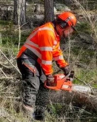 En man i oranga abretskläder och orange hjälp som sågar ett träd med motorsåg