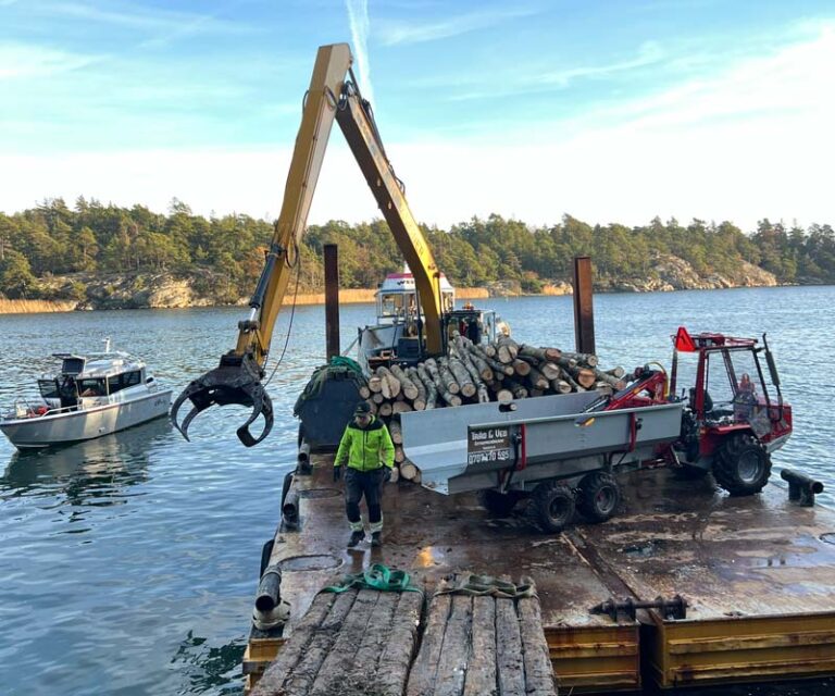 Träd som har fälts som samlats på en pråm för vidare transport