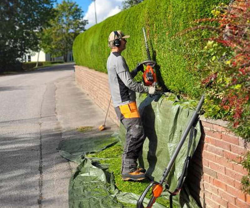 En man som trimmar en häck med en motordriven häcksax.